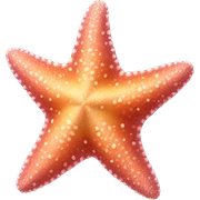 Colored sea star  sticker
