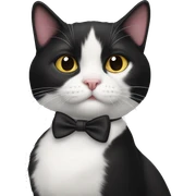Black and white tuxedo cat sticker