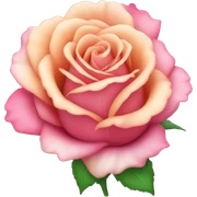 Rosa sticker