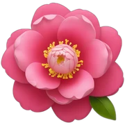 Camellia sticker