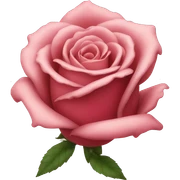 Rose sticker