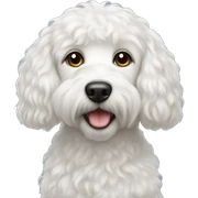 white dog pudel sticker