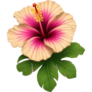 hibiscus sticker