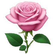 Pink rose sticker