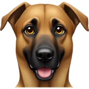 Malinois  sticker