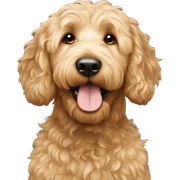 Goldendoodle sticker