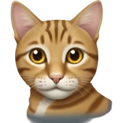 tabby cat sticker