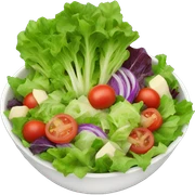 Garden salad  sticker