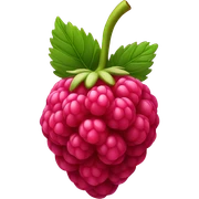 A raspberry  sticker