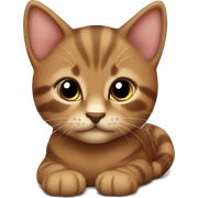 brown kitten sticker