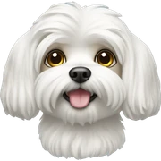 Maltese sticker