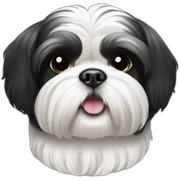 black and white shih tzu sticker