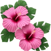pink hibiscus sticker