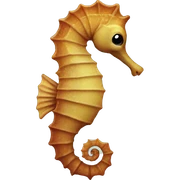 Seahorse sticker
