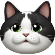 Fat black and white cat sticker