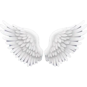 Angel wings sticker