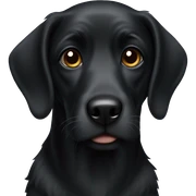 Black dog sticker