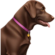 chocolate labrador  sticker