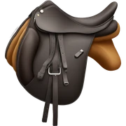 Dressage saddle  sticker