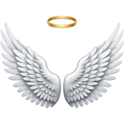 Angel wings  sticker