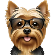 Yorkie wearing shades sticker