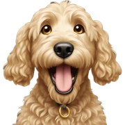 Golden doodle barking sticker