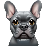 Dark gray French bulldog male  sticker