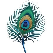 peacock feather peacock feather eye sticker