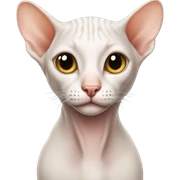 hairless cat sticker