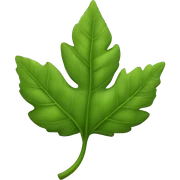 Reaslistic leaf sticker