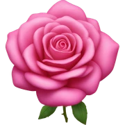 una rosa de color rosa sticker