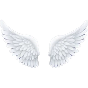 Angel wings sticker