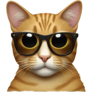 Cat with sunglasses sticker