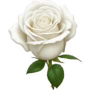 white rose  sticker