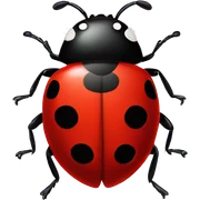 Ladybug sticker