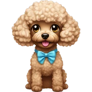 Toy poodle with make up sticker