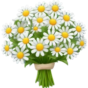 Pretty Bouquet of camomiles sticker