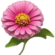 pink zinnia sticker