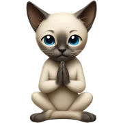 Siamese cat praying  sticker