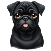 black pug sticker