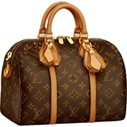 louis vuitton sticker