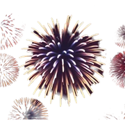 Fireworks  sticker