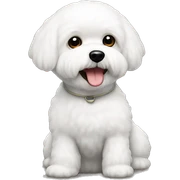 Bichon Frise sticker