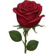 Wine red rose  sticker