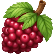 Berry  sticker