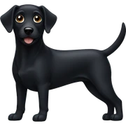 Black dog sticker