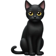 : ( black cat sticker