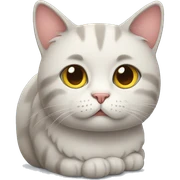 Cat sad sticker
