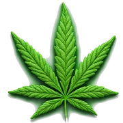 marijuana  sticker