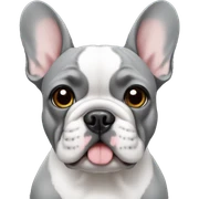 french bulldog grey sticker